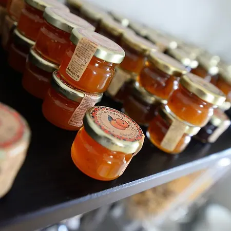 Grand Richelieu 아르카숑