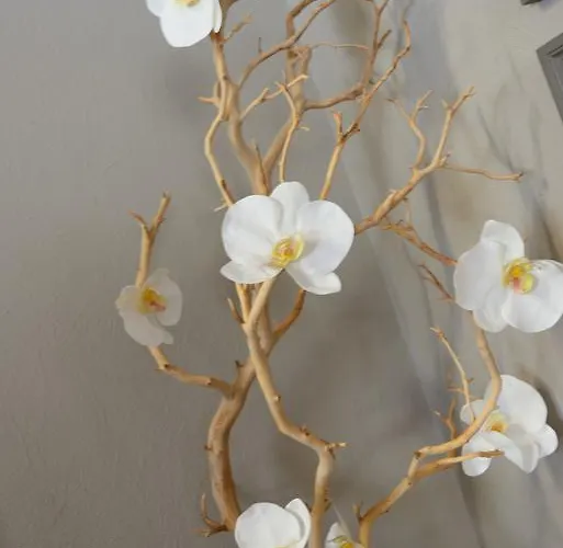 Hotel Grand Richelieu 3*